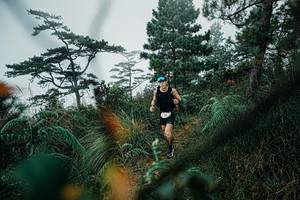 BIB: 
                            <button type="button" onclick="openModal(25258752)" class="btn btn-primary btn-sm float-right btn-popup" data-toggle="modal" data-target=".modal-high-quality">
                        <i class="fas fa-shopping-cart"></i> Add to Cart
                    </button>
                                            <button type="button" onclick="isThisMe(25258752, true)" class="btn btn-success btn-sm float-right btn-popup btn-isme hidden" data-toggle="tooltip" data-placement="bottom" title="นี่คือรูปของคุณใช่ไหม คลิกที่นี่เพื่อเอาเข้าอัลบั้ม">
                        <i class="fas fa-plus"></i> Add to album
                    </button>
                    <button type="button" onclick="isThisMe(25258752, false)" class="btn btn-warning btn-sm float-right btn-popup btn-isnotme hidden">
                        <i class="fas fa-ban"></i> Remove from album
                    </button>